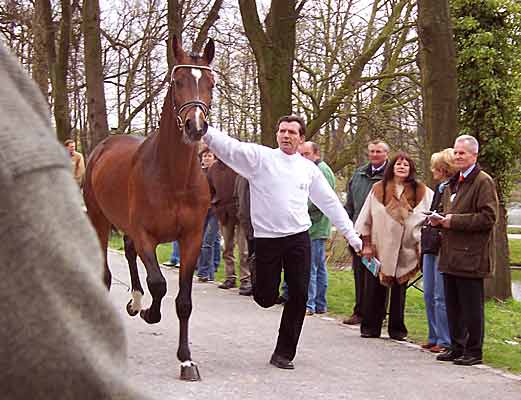 Sturmklang bei der K&ouml;rung